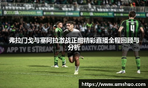 弗拉门戈与塞阿拉激战正酣精彩直播全程回顾与分析